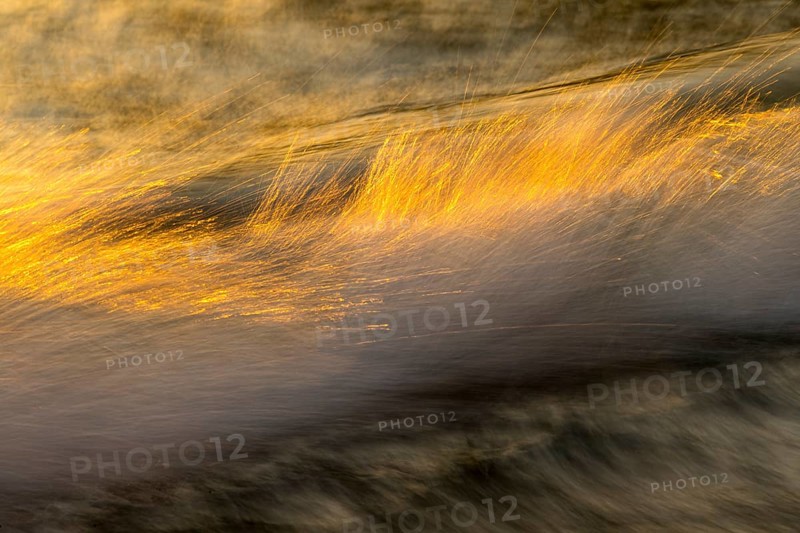 Spray