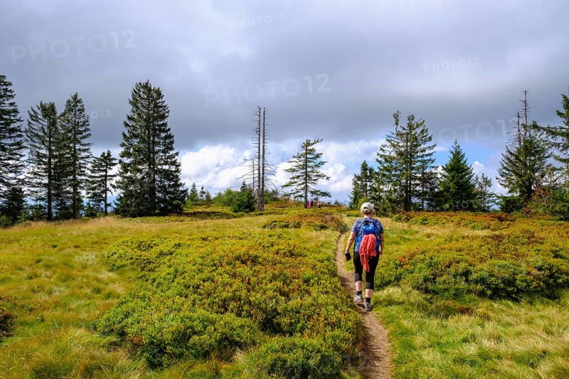 Summit plateau of Heugstatt