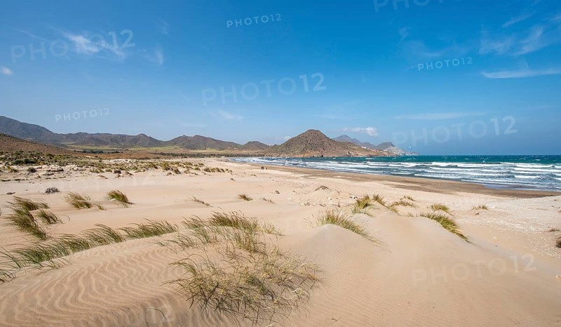Sand dunes on the beach