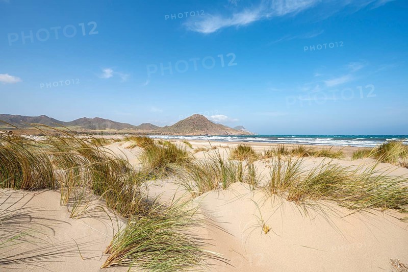 Sand dunes on the beach