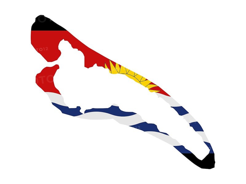Flag in form form of the geographical country