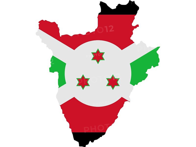 Flag in form form of the geographical country