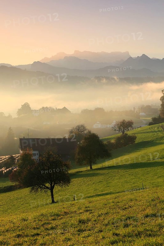 Waedenswil