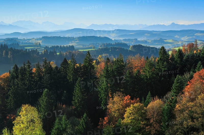 Emmental