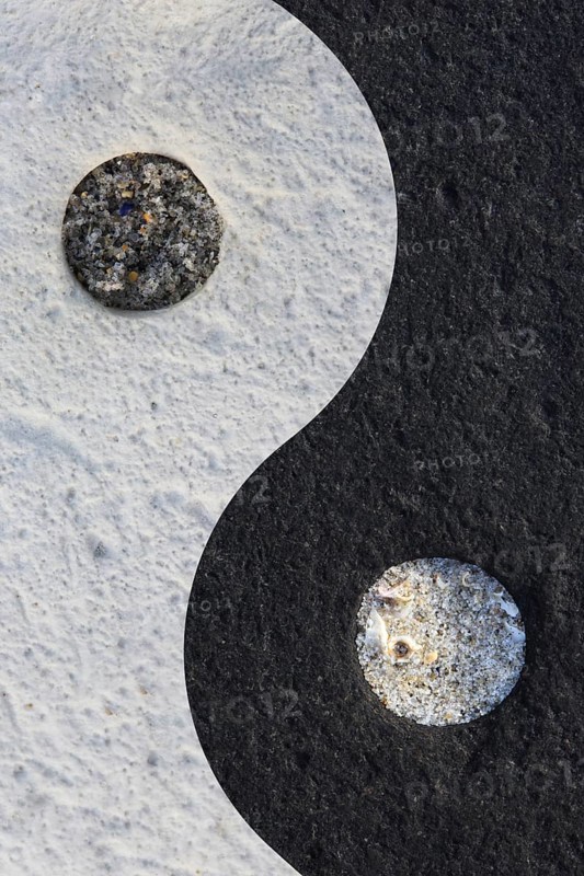 Ying Yang