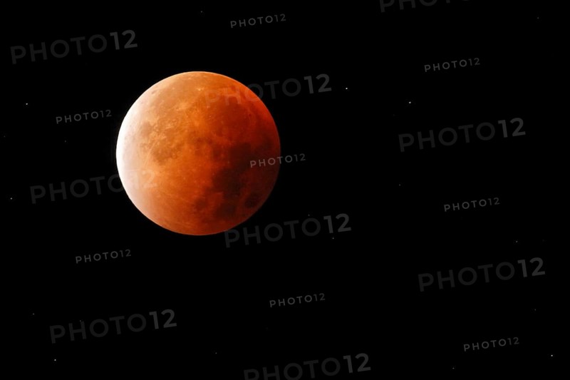 Blood Moon