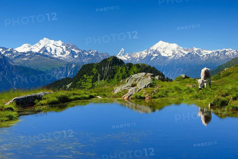 Swiss Alps