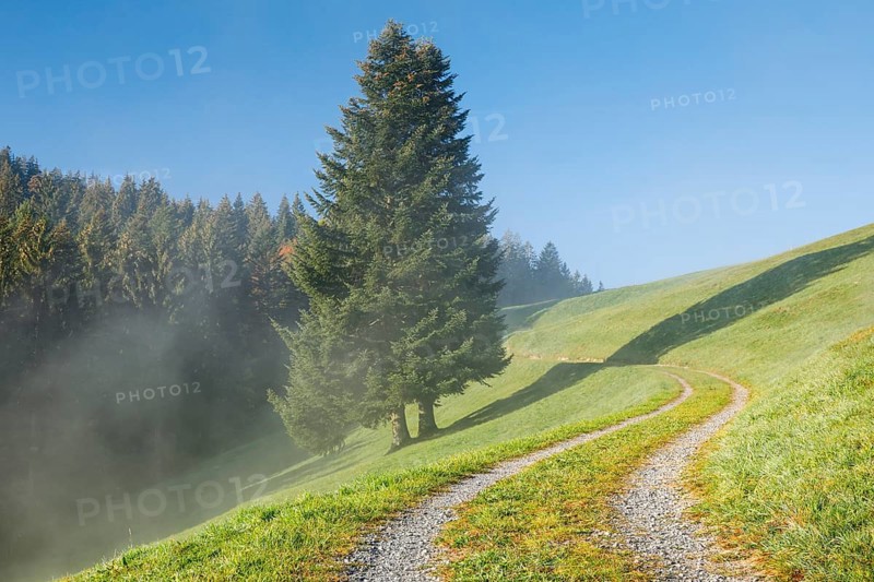 Field path on the Raten Pass