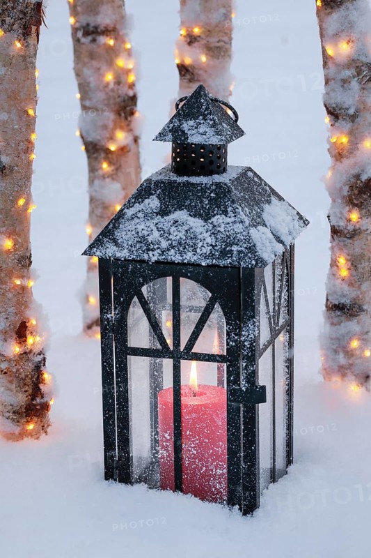 Lantern with illuminated birch trunks