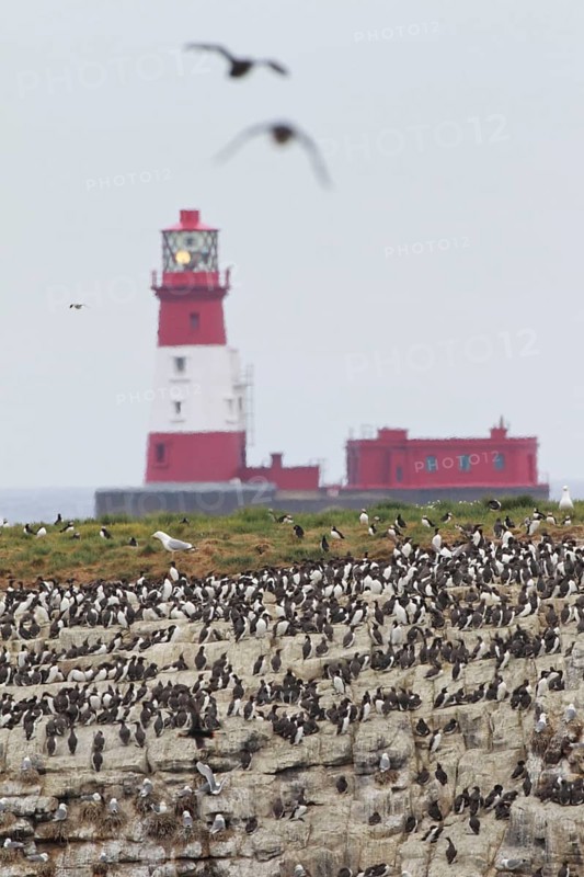 Longstone Rock lighthouse