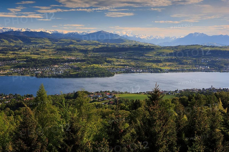Lake Zurich