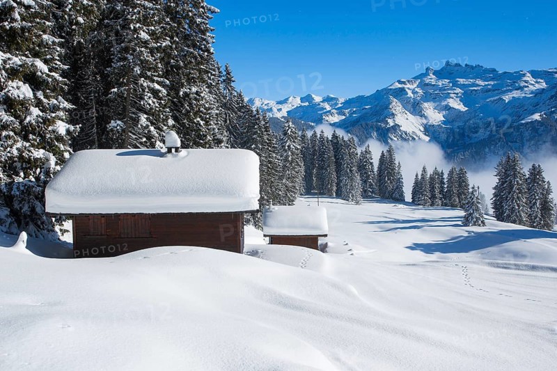 Braunwald with Freiberge Kaerpf