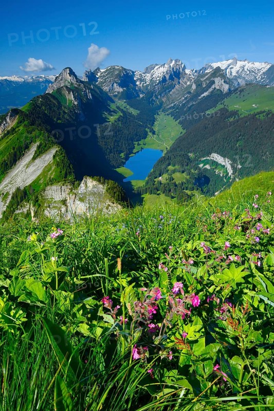 Saemtisersee