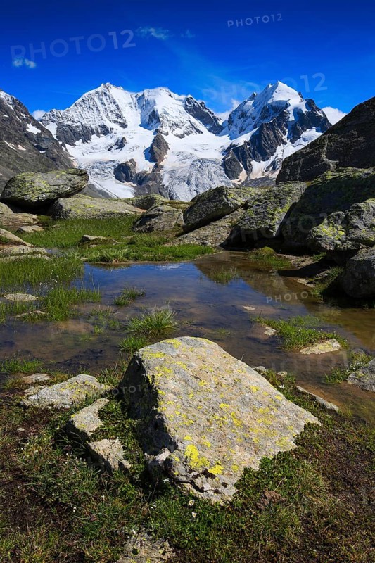 Piz Bernina