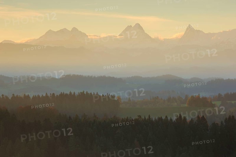 Emmental