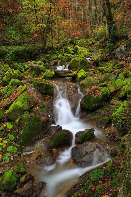 Twannbach Gorge
