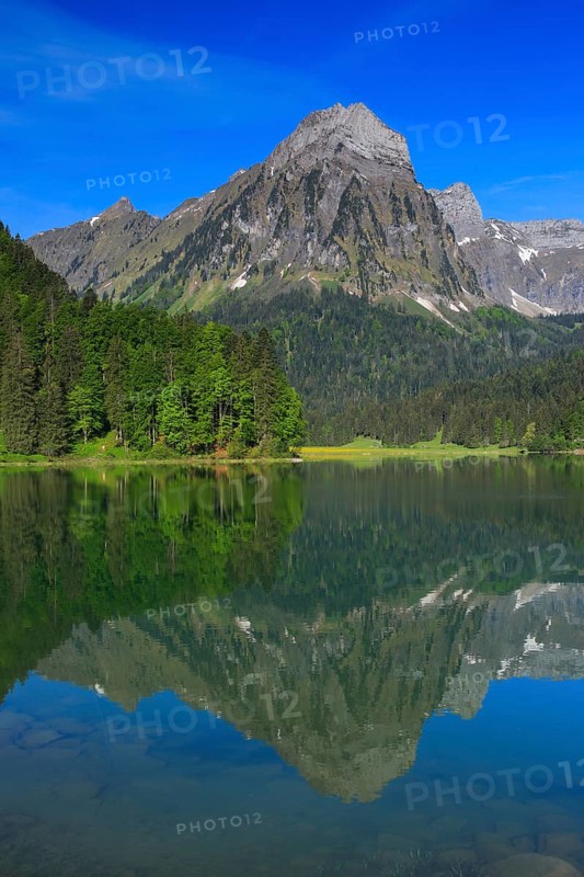 Obersee