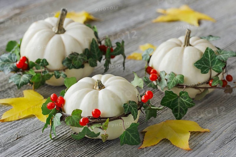 Autumnal decoration