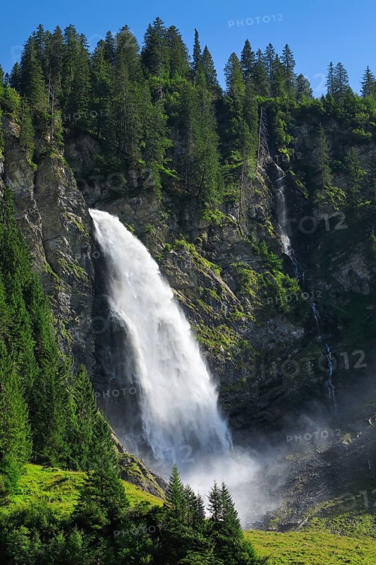 Staeubifall