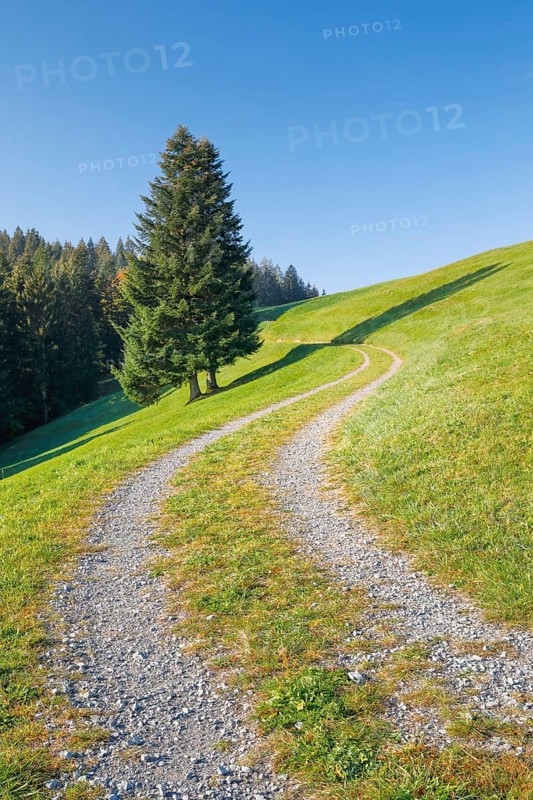 Field path on the Raten Pass