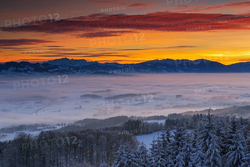 Saentis