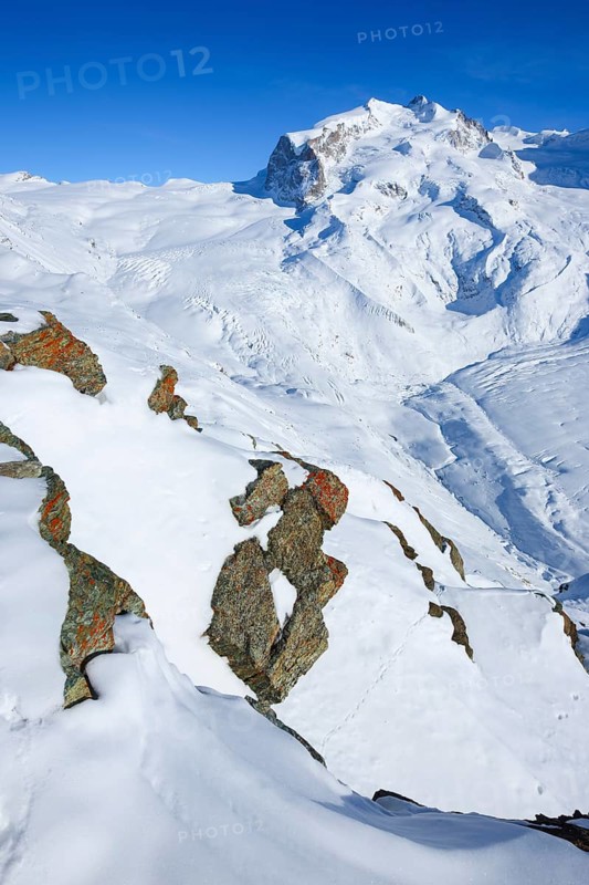 Monte Rosa
