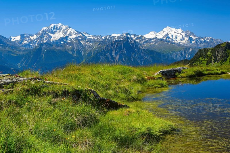 Swiss Alps