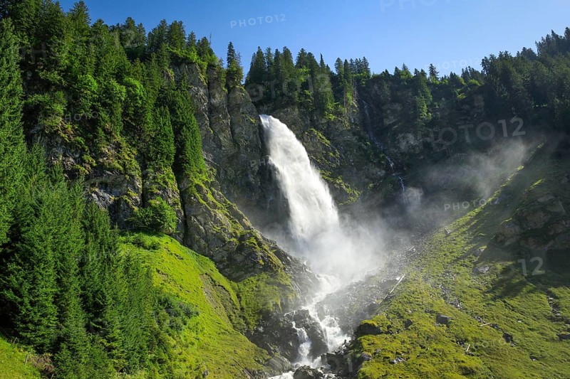 Staeubifall