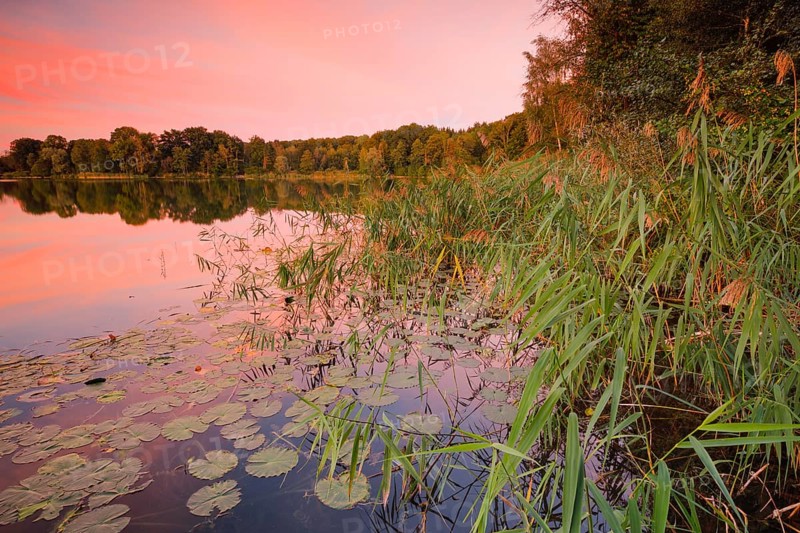 Lake Burgaeschi