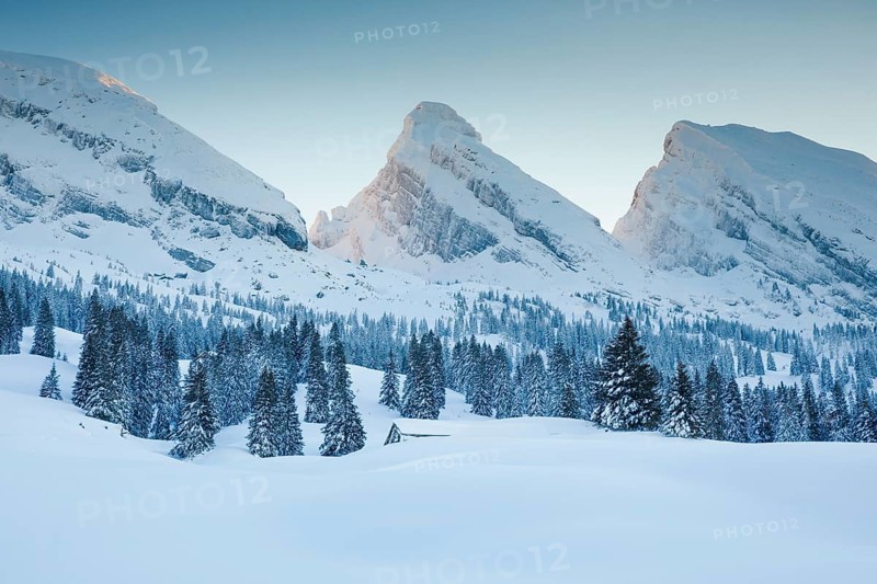 Alp Sellamatt