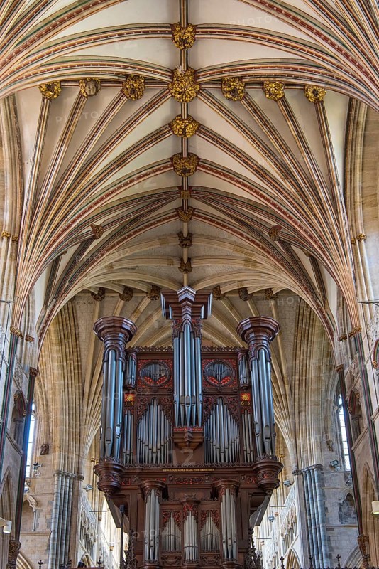 Fan vault and organ