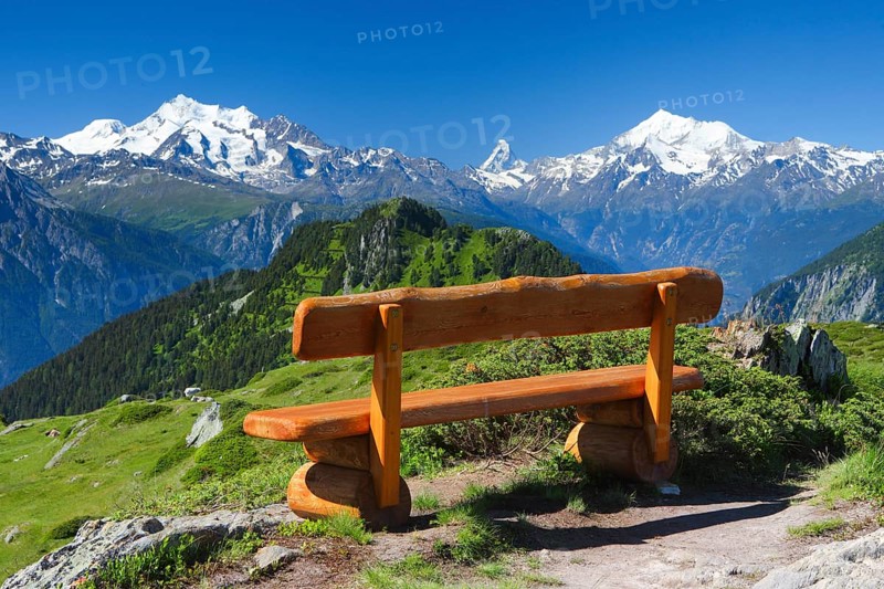 Bench