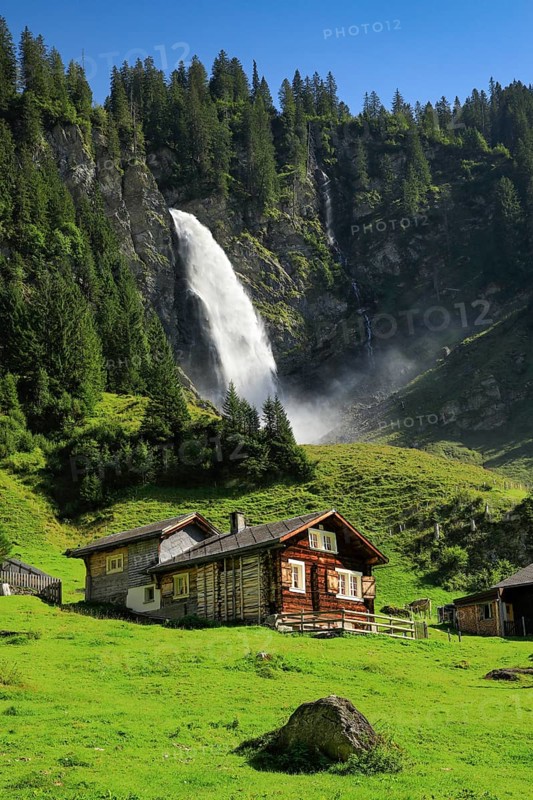 Staeubifall