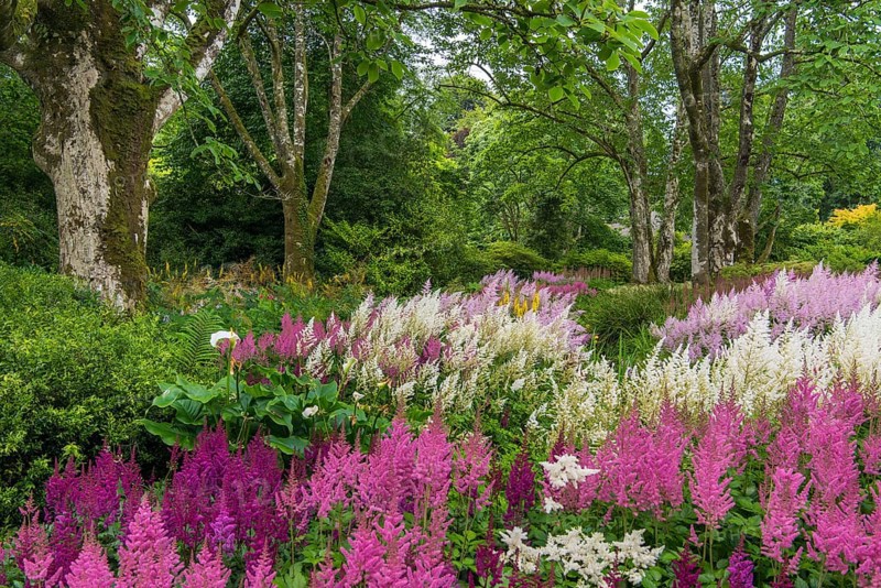 Gardens of Victorian Mansion Lanhydrock House