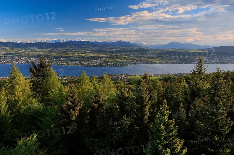 Lake Zurich