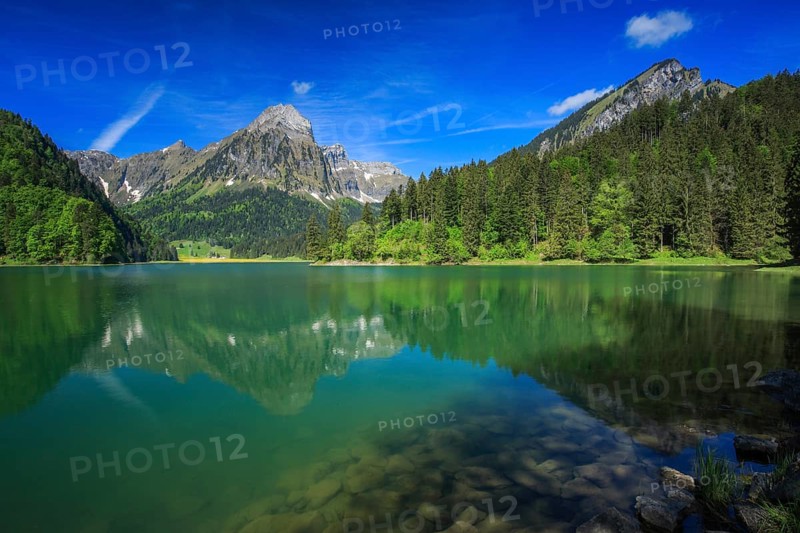 Obersee