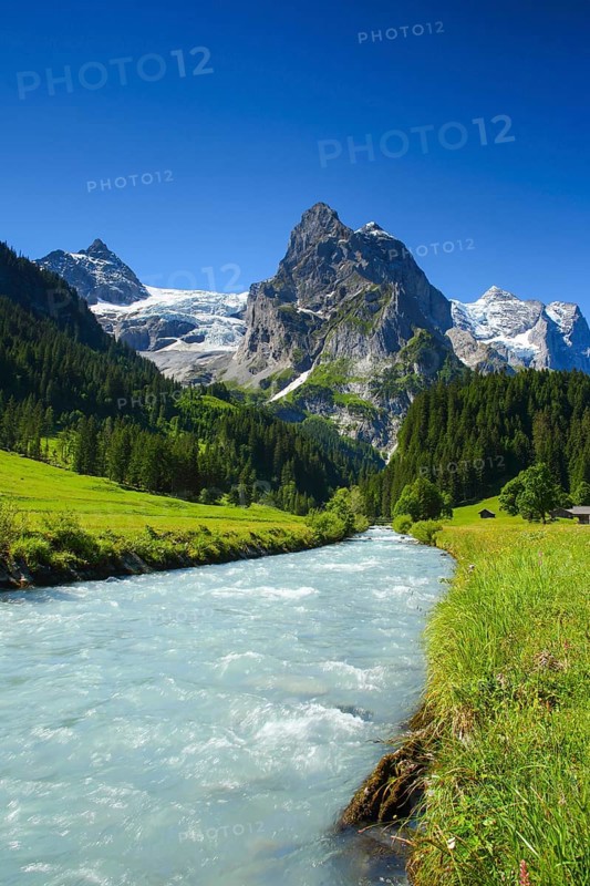Wellhorn