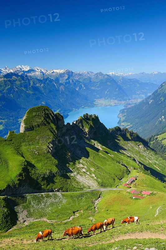 View from the Brienzer Rothorn