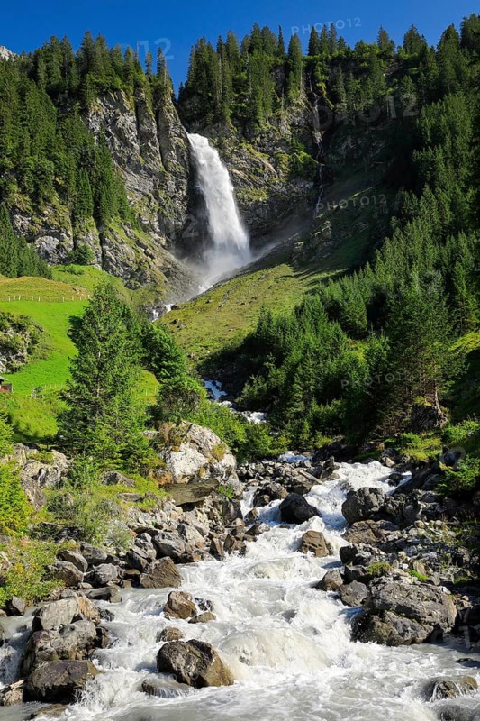 Staeubifall
