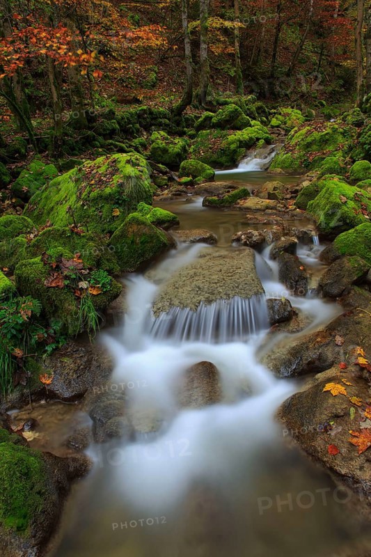 Twannbach Gorge