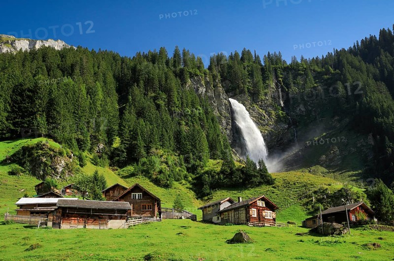 Staeubifall
