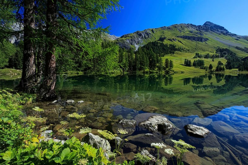 Lake Palpuogna