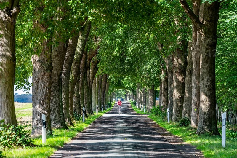 Oak Avenue near Bugewitz