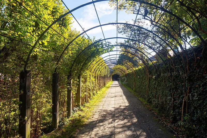 Acadence in the Mirabell Garden