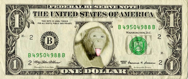 Dollar