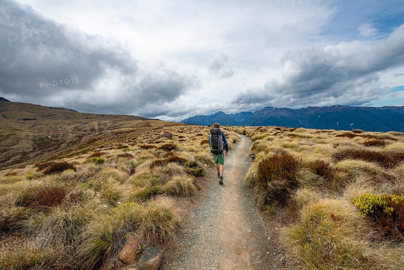 Hiker on Kepler Track