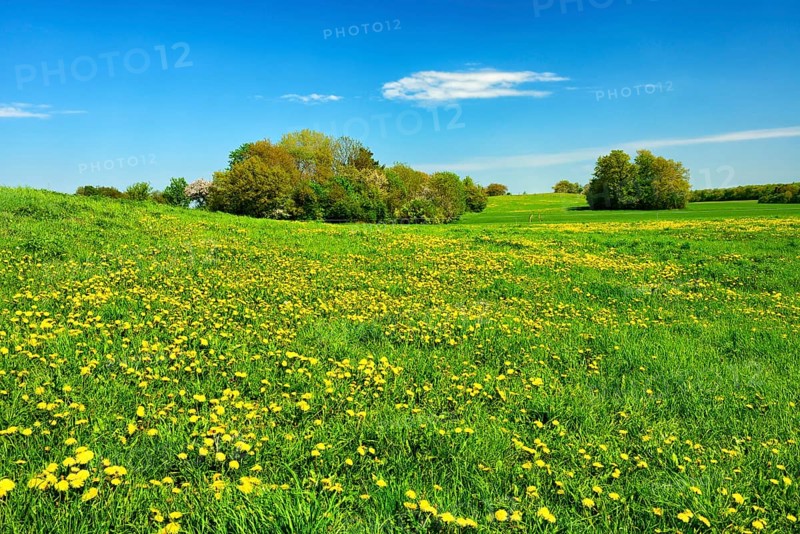 Cultural landscape in spring