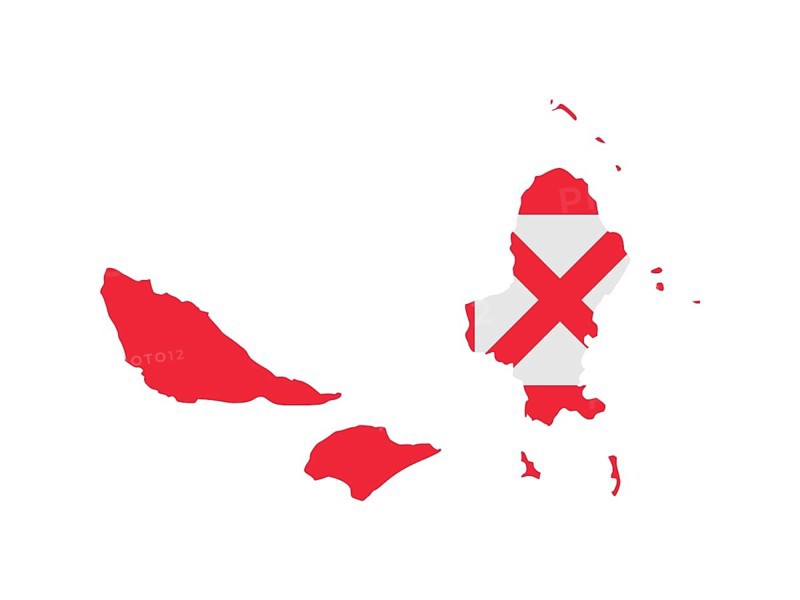 Flag in form form of the geographical country