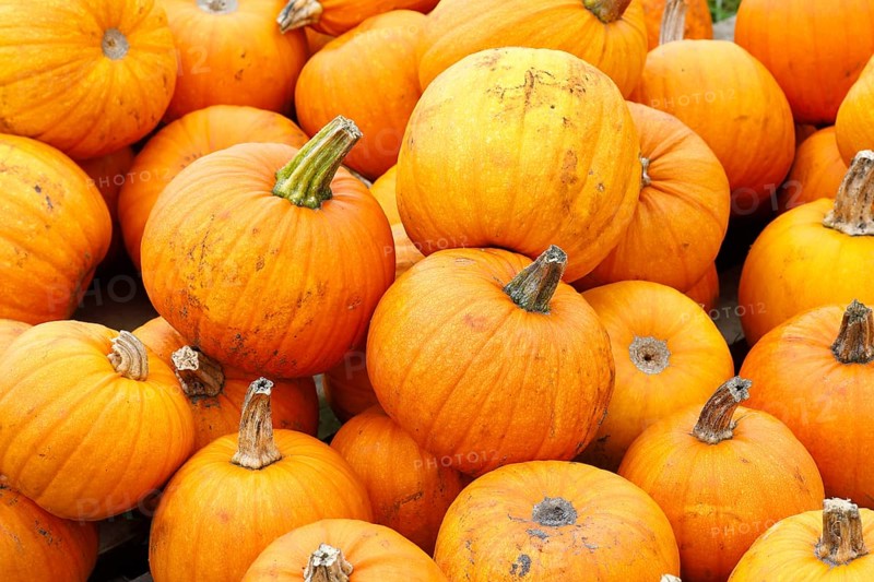 Pumpkins Halloween