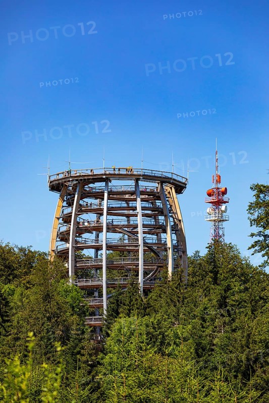 Observation tower at the tree top path Salzkammergut am Gruenberg
